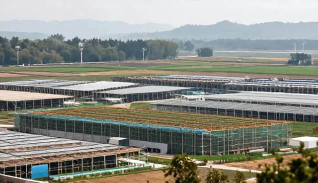 土建施工效率:性能与适用条件分析